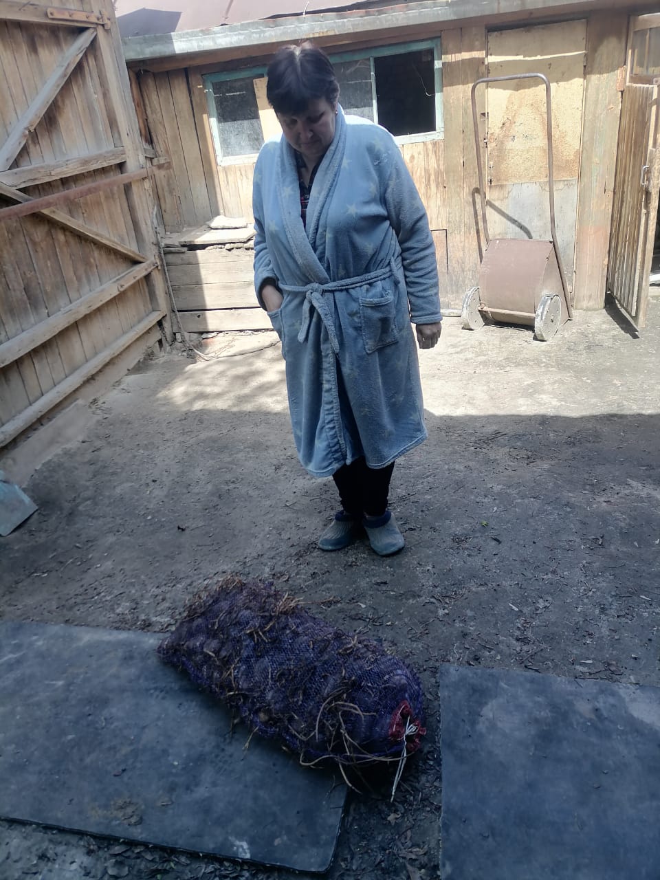Гуманитарная помощь 