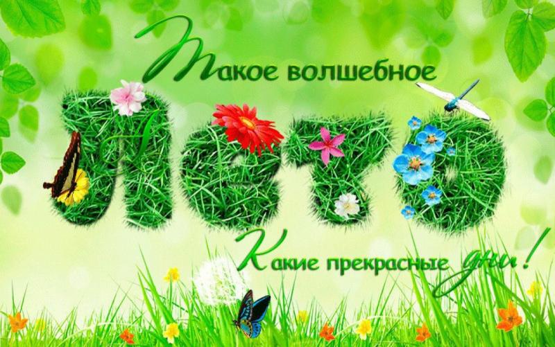 Такое волшебное лето! Такое волшебное лето!