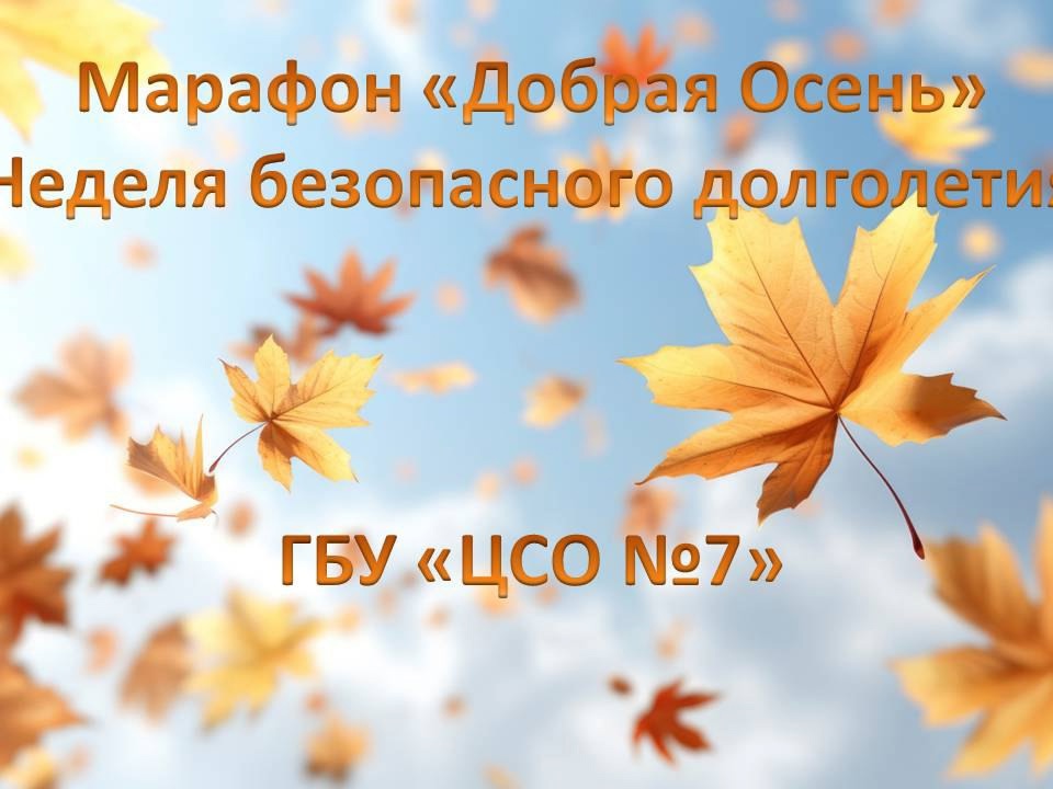 Неделя безопасного долголетия в г.Куртамыш. Марафон "Добрая осень для пожилых".