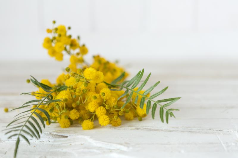 Дорогие, милые  женщины! Примите самые искренние поздравления с чудесным весенним праздником – Международным женским днём 8 марта! 