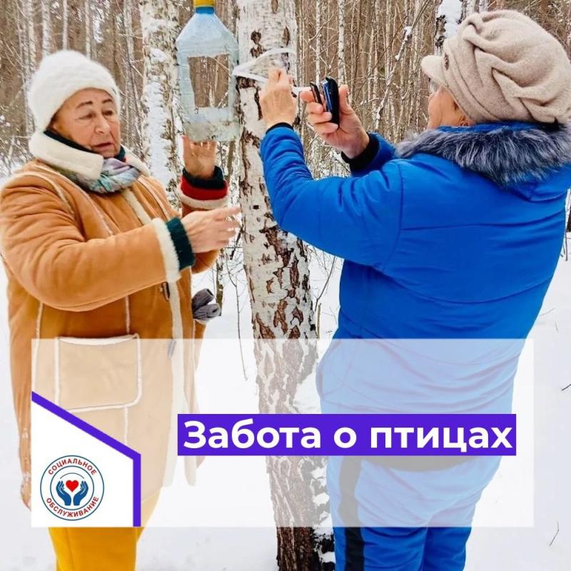 Забота о птицах