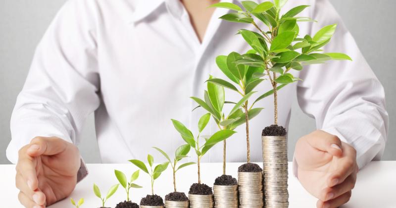 Материальная поддержка гражданам, заключившим социальный контракт на оказание помощи по ведению личного подсобного хозяйства (ЛПХ)