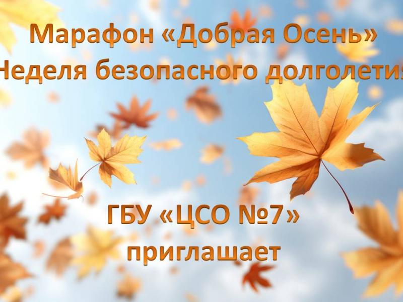 Неделя безопасного долголетия Неделя безопасного долголетия