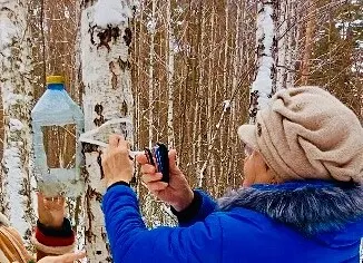 Забота о птицах