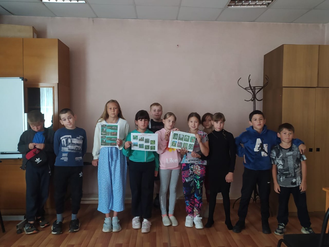 Ядовитые растения и грибы
