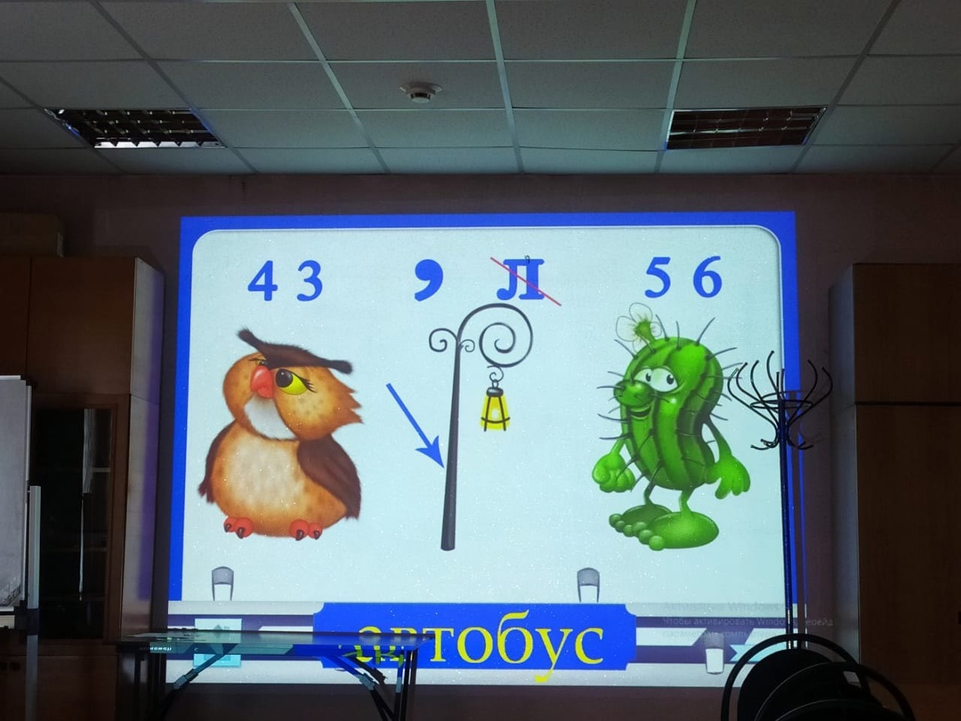 В городе дорожных наук