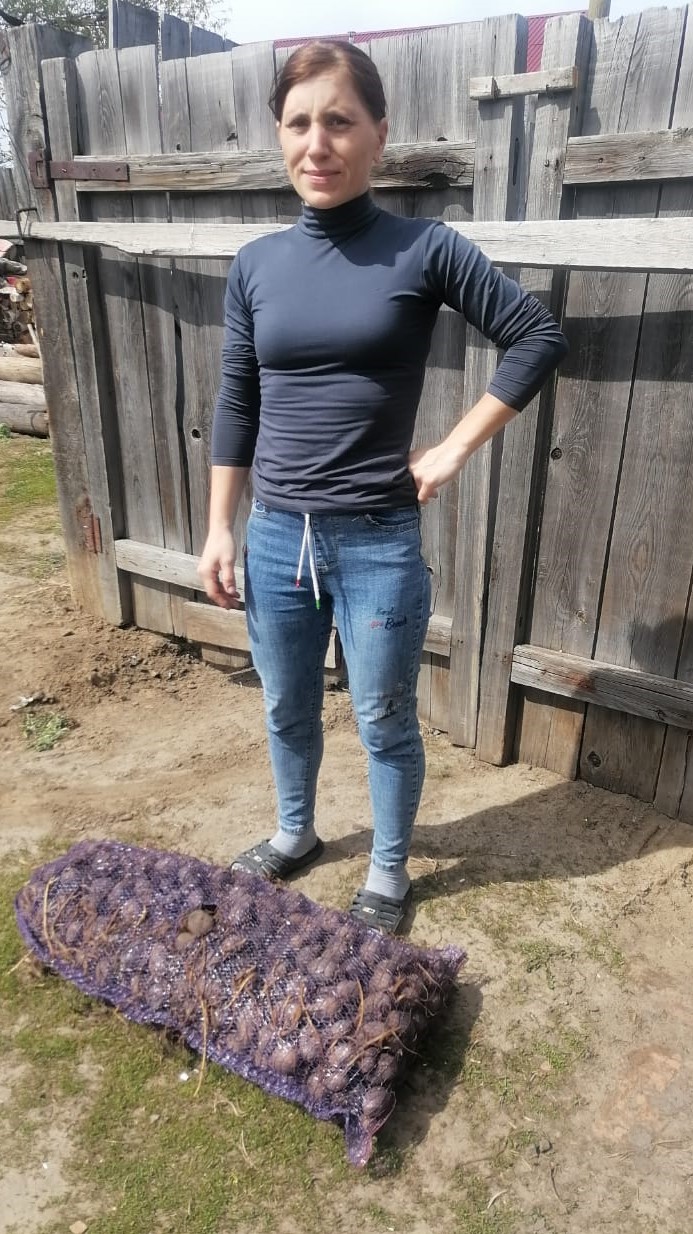 Гуманитарная помощь 