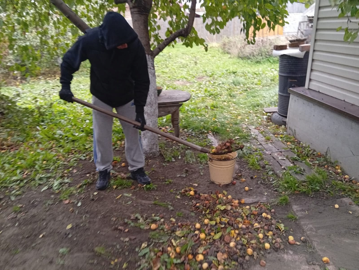 Студенты оказали помощь