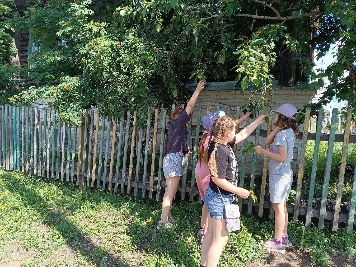 Волшебные отпечатки