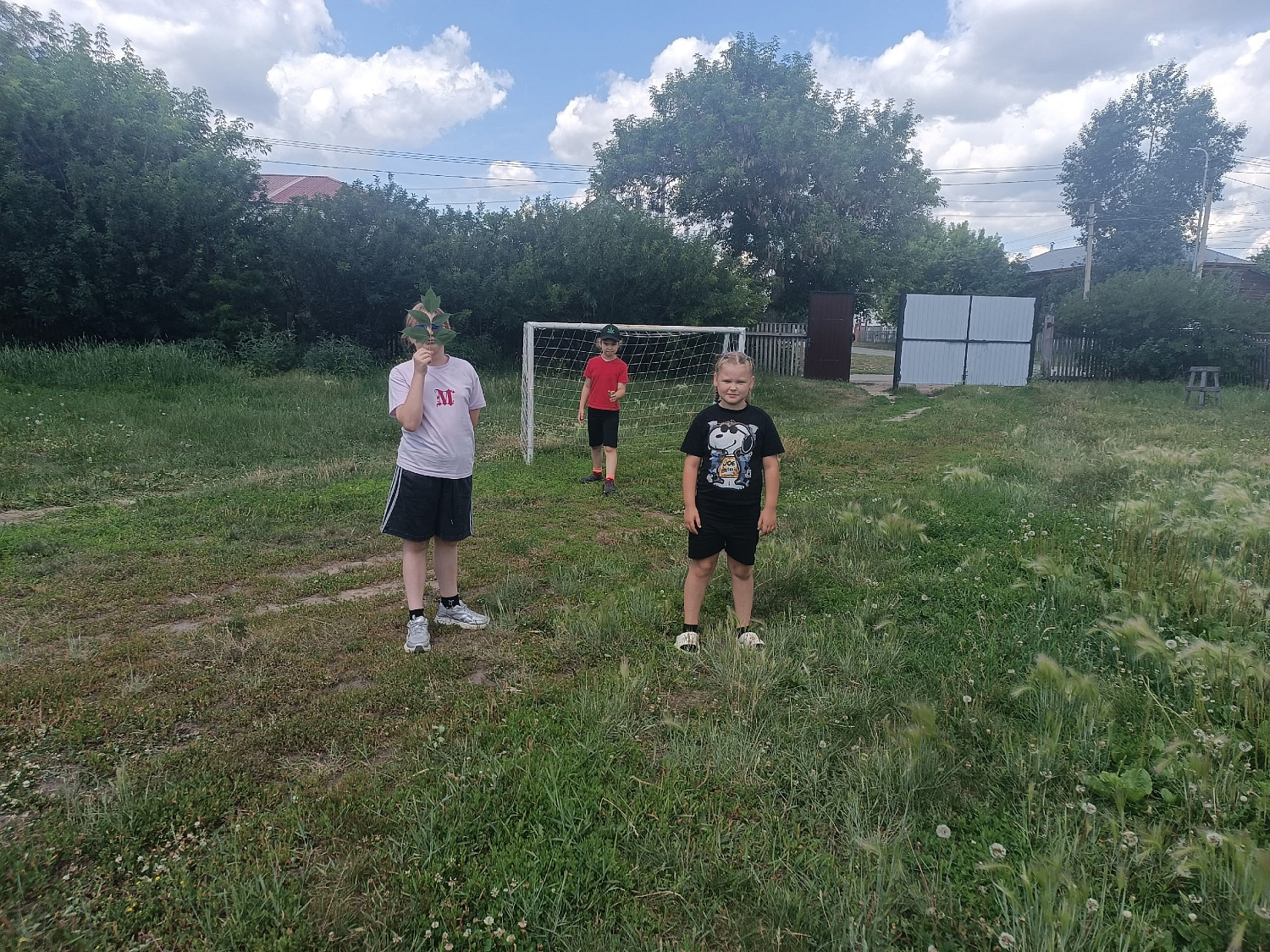 ДВОРОВЫЕ ЗАБАВЫ